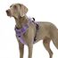 Funfox Hundegeschirr Grosse Hunde [XL] - Verstellbares Anti-Zug Brustgeschirr mit Griff & Reflektorstreifen, Atmungsaktives No Pull Hundegeschirr für Grosse/Mittelgroße Hunde Outdoor Lavendel