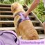 Funfox Hundegeschirr Grosse Hunde [XL] - Verstellbares Anti-Zug Brustgeschirr mit Griff & Reflektorstreifen, Atmungsaktives No Pull Hundegeschirr für Grosse/Mittelgroße Hunde Outdoor Lavendel