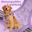 Funfox Hundegeschirr Grosse Hunde [XL] - Verstellbares Anti-Zug Brustgeschirr mit Griff & Reflektorstreifen, Atmungsaktives No Pull Hundegeschirr für Grosse/Mittelgroße Hunde Outdoor Lavendel