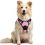 rabbitgoo Hundegeschirr Mittelgroße Hunde, Anti Zug Geschirr mit Kontrolle, No Pull Verstellbar Hundegeschirr Grosse Hunde, Atmungsaktiv Reflexstreifen Brustgeschirr Sichere Führung Rosa M