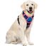 rabbitgoo Hundegeschirr Grosse Hunde, Anti Zug Geschirr mit Kontrolle, No Pull Verstellbar Hundegeschirr Mittelgroße Hunde, Atmungsaktiv Reflexstreifen Brustgeschirr Sichere Führung, Blau & Rosarot,XL