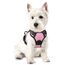 rabbitgoo Hundegeschirr Kleine Hunde, Anti Zug Geschirr mit Kontrolle, No Pull Verstellbar Hundegeschirr Grosse Hunde, Atmungsaktiv Reflexstreifen Brustgeschirr Sichere Führung Rosa XS