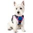 rabbitgoo Hundegeschirr Mittelgroße Hunde, Anti Zug Geschirr mit Kontrolle, No Pull Verstellbar Hundegeschirr Grosse Hunde, Atmungsaktiv Reflexstreifen Brustgeschirr Sichere Führung,Blau & Rosarot,XS