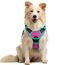 rabbitgoo Hundegeschirr Mittelgroße Hunde, Anti Zug Geschirr mit Kontrolle, No Pull Verstellbar Hundegeschirr Grosse Hunde, Atmungsaktiv Reflexstreifen Brustgeschirr Sichere，Rosarot & Mint Grün，M