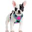 rabbitgoo Hundegeschirr Mittelgroße Hunde, Anti Zug Geschirr mit Kontrolle, No Pull Verstellbar Hundegeschirr Grosse Hunde, Atmungsaktiv Reflexstreifen Brustgeschirr Sichere，Rosarot & Mint Grün，S