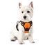 rabbitgoo Hundegeschirr Kleine Hunde, Anti Zug Geschirr mit Kontrolle, No Pull Verstellbar Hundegeschirr Grosse Hunde, Atmungsaktiv Reflexstreifen Brustgeschirr Sichere Führung Orange XS