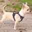 rabbitgoo Hundegeschirr Kleine Hunde, Anti Zug Geschirr mit Kontrolle, No Pull Verstellbar Hundegeschirr Grosse Hunde, Atmungsaktiv Reflexstreifen Brustgeschirr Sichere Führung Rosa XS
