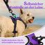 rabbitgoo Hundegeschirr Kleine Hunde, Anti Zug Geschirr mit Kontrolle, No Pull Verstellbar Hundegeschirr Grosse Hunde, Atmungsaktiv Reflexstreifen Brustgeschirr Sichere Führung Lila XS