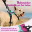 rabbitgoo Hundegeschirr Mittelgroße Hunde, Anti Zug Geschirr mit Kontrolle, No Pull Verstellbar Hundegeschirr Grosse Hunde, Atmungsaktiv Reflexstreifen Brustgeschirr Sichere，Rosarot & Mint Grün，XS