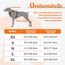rabbitgoo Hundegeschirr Mittelgroße Hunde Anti Zug Geschirr Hund mit Kontrolle No Pull Verstellbar Hundegeschirr Grosse Hunde Atmungsaktiv Reflexstreifen Brustgeschirr Hund Sichere Führung Orange S