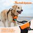 rabbitgoo Hundegeschirr Mittelgroße Hunde Anti Zug Geschirr Hund mit Kontrolle No Pull Verstellbar Hundegeschirr Grosse Hunde Atmungsaktiv Reflexstreifen Brustgeschirr Hund Sichere Führung Orange M