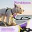 rabbitgoo Hundegeschirr Kleine Hunde Anti Zug Geschirr Hund mit Kontrolle No Pull Verstellbar Hundegeschirr Grosse Hunde Atmungsaktiv Reflexstreifen Brustgeschirr Hund Sichere Führung Lila+Gelb XS
