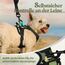 rabbitgoo Hundegeschirr Mittelgroße Hunde, Anti Zug Geschirr mit Kontrolle, No Pull Verstellbar Hundegeschirr Grosse Hunde, Atmungsaktiv Reflexstreifen Brustgeschirr Sichere，Camouflage Grün，XS