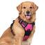 rabbitgoo Hundegeschirr Grosse Hunde, Anti Zug Geschirr mit Kontrolle, No Pull Verstellbar Hundegeschirr Mittelgroße Hunde, Atmungsaktiv Reflexstreifen Brustgeschirr Sichere Führung, Rosarot, XL