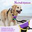 rabbitgoo Hundegeschirr Mittelgroße Hunde Anti Zug Geschirr Hund mit Kontrolle No Pull Verstellbar Hundegeschirr Grosse Hunde Atmungsaktiv Reflexstreifen Brustgeschirr Sichere Führung Lila+Gelb M