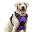 rabbitgoo Hundegeschirr Grosse Hunde, Anti Zug Geschirr mit Kontrolle, No Pull Verstellbar Hundegeschirr Mittelgroße Hunde, Atmungsaktiv Reflexstreifen Brustgeschirr Sichere Führung, Lila, L