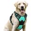 rabbitgoo Hundegeschirr Grosse Hunde, Anti Zug Geschirr mit Kontrolle, No Pull Verstellbar Hundegeschirr Mittelgroße Hunde, Atmungsaktiv Reflexstreifen Brustgeschirr Sichere Führung, Mint Grün, L