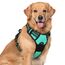 rabbitgoo Hundegeschirr Grosse Hunde, Anti Zug Geschirr mit Kontrolle, No Pull Verstellbar Hundegeschirr Mittelgroße Hunde, Atmungsaktiv Reflexstreifen Brustgeschirr Sichere Führung, Mint Grün, XL