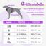 rabbitgoo Hundegeschirr Kleine Hunde Anti Zug Geschirr Hund mit Kontrolle No Pull Verstellbar Hundegeschirr Grosse Hunde Atmungsaktiv Reflexstreifen Brustgeschirr Hund Sichere Führung Lila+Gelb XS