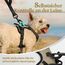 rabbitgoo Hundegeschirr Kleine Hunde, Anti Zug Geschirr mit Kontrolle, No Pull Verstellbar Hundegeschirr Grosse Hunde, Atmungsaktiv Reflexstreifen Brustgeschirr Sichere Führung Kaki XS