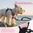 rabbitgoo Hundegeschirr Kleine Hunde, Anti Zug Geschirr mit Kontrolle, No Pull Verstellbar Hundegeschirr Grosse Hunde, Atmungsaktiv Reflexstreifen Brustgeschirr Sichere Führung Rosa XS