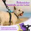 rabbitgoo Hundegeschirr Kleine Hunde Anti Zug Geschirr Hund mit Kontrolle No Pull Verstellbar Hundegeschirr Grosse Hunde Atmungsaktiv Reflexstreifen Brustgeschirr Hund Sichere Führung Lila+Gelb XS