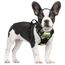 rabbitgoo Hundegeschirr Mittelgroße Hunde, Anti Zug Geschirr mit Kontrolle, No Pull Verstellbar Hundegeschirr Grosse Hunde, Atmungsaktiv Reflexstreifen Brustgeschirr Sichere，Camouflage Grün，S