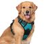 rabbitgoo Hundegeschirr Grosse Hunde, Anti Zug Geschirr mit Kontrolle, No Pull Verstellbar Hundegeschirr Mittelgroße Hunde, Atmungsaktiv Reflexstreifen Brustgeschirr Sichere Führung, Blaugrün, XL