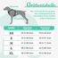 rabbitgoo Hundegeschirr Grosse Hunde, Anti Zug Geschirr mit Kontrolle, No Pull Verstellbar Hundegeschirr Mittelgroße Hunde, Atmungsaktiv Reflexstreifen Brustgeschirr Sichere Führung, Mint Grün, L