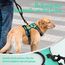 rabbitgoo Hundegeschirr Mittelgroße Hunde, Anti Zug Geschirr mit Kontrolle, No Pull Verstellbar Hundegeschirr Grosse Hunde, Atmungsaktiv Reflexstreifen Brustgeschirr Sichere Führung Grün M