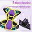 rabbitgoo Hundegeschirr Kleine Hunde Anti Zug Geschirr Hund mit Kontrolle No Pull Verstellbar Hundegeschirr Grosse Hunde Atmungsaktiv Reflexstreifen Brustgeschirr Hund Sichere Führung Lila+Gelb XS