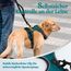 rabbitgoo Hundegeschirr Mittelgroße Hunde, Anti Zug Geschirr mit Kontrolle, No Pull Verstellbar Hundegeschirr Grosse Hunde, Atmungsaktiv Reflexstreifen Brustgeschirr Sichere Führung Dunkelgrün S