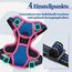 rabbitgoo Hundegeschirr Mittelgroße Hunde, Anti Zug Geschirr mit Kontrolle, No Pull Verstellbar Hundegeschirr Grosse Hunde, Atmungsaktiv Reflexstreifen Brustgeschirr Sichere Führung,Blau & Rosarot,XS