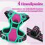 rabbitgoo Hundegeschirr Mittelgroße Hunde, Anti Zug Geschirr mit Kontrolle, No Pull Verstellbar Hundegeschirr Grosse Hunde, Atmungsaktiv Reflexstreifen Brustgeschirr Sichere，Rosarot & Mint Grün，XS