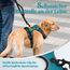 rabbitgoo Hundegeschirr Grosse Hunde, Anti Zug Geschirr mit Kontrolle, No Pull Verstellbar Hundegeschirr Mittelgroße Hunde, Atmungsaktiv Reflexstreifen Brustgeschirr Sichere Führung, Blaugrün, XL