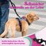 rabbitgoo Hundegeschirr Mittelgroße Hunde, Anti Zug Geschirr mit Kontrolle, No Pull Verstellbar Hundegeschirr Grosse Hunde, Atmungsaktiv Reflexstreifen Brustgeschirr Sichere，Rosarot & Mint Grün，M