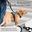 rabbitgoo Hundegeschirr Mittelgroße Hunde, Anti Zug Geschirr mit Kontrolle, No Pull Verstellbar Hundegeschirr Grosse Hunde, Atmungsaktiv Reflexstreifen Brustgeschirr Sichere Führung Grau S