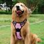 rabbitgoo Hundegeschirr Grosse Hunde, Anti Zug Geschirr mit Kontrolle, No Pull Verstellbar Hundegeschirr Mittelgroße Hunde, Atmungsaktiv Reflexstreifen Brustgeschirr Sichere Führung, Rosa, L