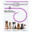Joytale Leuchthalsband Hund USB Aufladbar Hundehalsband Leuchtend für Große Mittel Kleine Hunde und Welpe, Led Halsband mit 3 Modi für Sicherheit, Lila