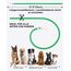 Joytale Leuchthalsband Hund USB Aufladbar Hundehalsband Leuchtend für Große Mittel Kleine Hunde und Welpe, Led Halsband mit 3 Modi für Sicherheit, Grün