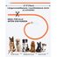 Joytale Leuchthalsband Hund USB Aufladbar Hundehalsband Leuchtend für Große Mittel Kleine Hunde und Welpe, Led Halsband mit 3 Modi für Sicherheit, Orange