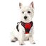rabbitgoo Hundegeschirr Kleine Hunde, Anti Zug Geschirr mit Kontrolle, No Pull Verstellbar Hundegeschirr Grosse Hunde, Atmungsaktiv Reflexstreifen Brustgeschirr Sichere Führung Rot XS