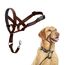 HALTI Kopfgeschirr - Verhindert, dass Ihr Hund an der Leine zieht, Einfache Anpassung, Leicht, mit gepolstertem Nasenriemen, Anti-Zug-Halsband für mittelgroße Hunde (Größe 3, Walnussbraun)