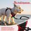 rabbitgoo Hundegeschirr Kleine Hunde, Anti Zug Geschirr mit Kontrolle, No Pull Verstellbar Hundegeschirr Grosse Hunde, Atmungsaktiv Reflexstreifen Brustgeschirr Sichere Führung Schwarz+Rot XS