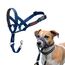 HALTI Kopfgeschirr - Verhindert, dass Ihr Hund an der Leine zieht, Einfache Anpassung, Leicht, mit gepolstertem Nasenriemen, Anti-Zug-Halsband für kleine Hunde (Größe 1, Kobaltblau)
