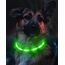 Joytale Leuchthalsband Hund USB Aufladbar Hundehalsband Leuchtend für Große Mittel Kleine Hunde und Welpe, Led Halsband mit 3 Modi für Sicherheit, Grün