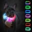 Joytale Leuchthalsband Hund, Hundehalsband Leuchtend Aufladbar, Längenverstellbar Led Hundehalsband mit 9 Leuchtmodi, Regendicht Hunde Leuchthalsband für Kleine und Mittlere Hunde, 45 cm