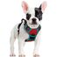 rabbitgoo Hundegeschirr Mittelgroße Hunde, Anti Zug Geschirr mit Kontrolle, No Pull Verstellbar Hundegeschirr Grosse Hunde, Atmungsaktiv Reflexstreifen Brustgeschirr Sichere Führung Rot+Blaugrün S