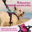 rabbitgoo Hundegeschirr Kleine Hunde, Anti Zug Geschirr mit Kontrolle, No Pull Verstellbar Hundegeschirr Grosse Hunde, Atmungsaktiv Reflexstreifen Brustgeschirr Sichere Führung Rosarot XS