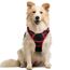 rabbitgoo Hundegeschirr Mittelgroße Hunde, Anti Zug Geschirr mit Kontrolle, No Pull Verstellbar Hundegeschirr Grosse Hunde, Atmungsaktiv Reflexstreifen Brustgeschirr Sichere Führung Schwarz+Rot M